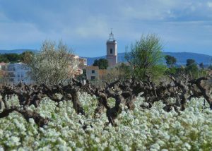 Marseillan ©OT Marseillan
